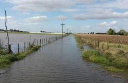 Se declaró el estado de emergencia y/o desastre agropecuario para Junín