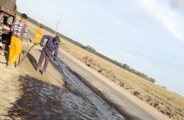 Primeros trabajos sobre la calzada de la Ruta N° 31
