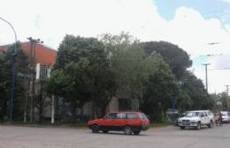 Ya funcionan los semáforos de Tormey, Federación y Necochea