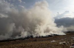 Bomberos Voluntarios acuden al incendio de campo