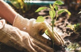 El seminario de jardinería especial se traslada al Polígono de Tiro