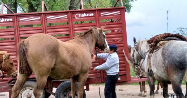 El mal tiempo le jugó una mala pasada a la Cabalgata del Reencuentro Rojas-Santa Felisa