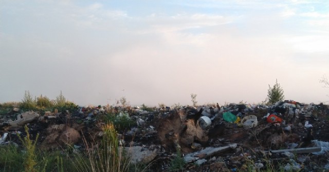 El estado del basural municipal parece no importarle a nadie