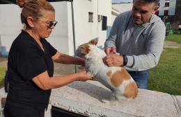 M&aacute;s de 60 mascotas fueron vacunadas en una nueva jornada antirr&aacute;bica