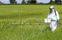 Confirman la toxicidad del glifosato: ¿Somos conscientes de la gravedad de la situación?