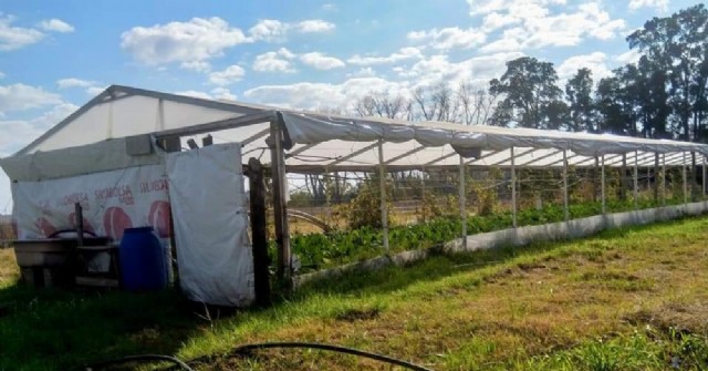 Taller Protegido de Rojas toma pedidos de productos de su huerta