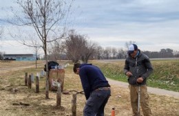 Programa "De raíz": se plantan más de cien árboles en el distrito