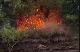 Denuncian fuego intencional en la costa del Río Rojas