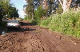Caen dos gotas de lluvia y vecinos de Progreso quedan atrapados por el barro