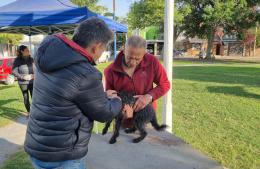 Vacunaci&oacute;n antirr&aacute;bica en la Plaza de Barrio Covendiar I