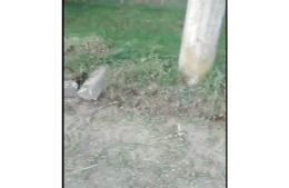 Recibimos quejas por Servicios Urbanos