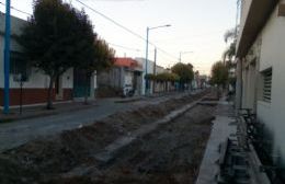 Reconstrucción de cordones en la zona centro