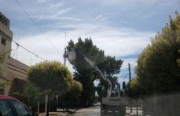 Avanza la colocación de luminarias led en la zona urbana