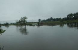 Las autoridades monitorean las 24 horas el nivel del río Rojas
