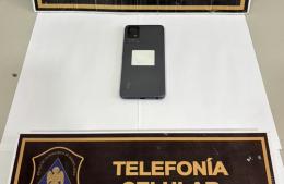 Allanamiento y aprehensión por un hurto