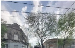 Se celebra el Día Nacional del Recolector de Residuos