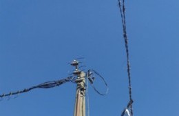 Robo de cables de energía en Tenis Newbery