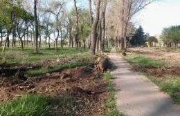 El Municipio interviene en la zona aledaña al Paseo de la Ribera