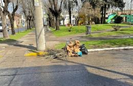 Vecina inescrupulosa deja montículos frente a una plaza