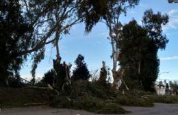 Corte de luz en Barrio Jardín