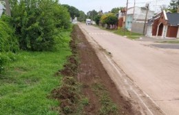 Parques y Paseos junto a Servicios Urbanos realizan trabajos de limpieza