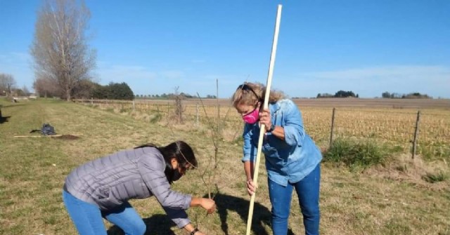 Plantaron árboles en un sector aledaño a la Ruta 45