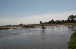 El río Rojas volvió a salirse de su cauce con las últimas lluvias