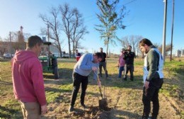 Nueva jornada de plantación de árboles