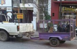 Video con agentes municipales maltratando a un perro se viralizó en las redes sociales