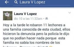 Roban 11 lechones, pero ya tenemos el Plan de Seguridad de Núñez