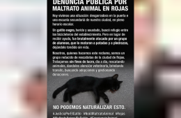 Denuncian un caso de maltrato animal frente a una escuela secundaria