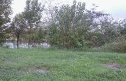 Barrio Santa Teresa en alerta por la crecida del río Rojas