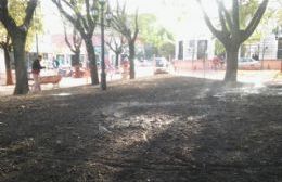 Menores en bicicleta habrían dañado el césped recién sembrado en la Plaza San Martín