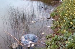 Continúan arrojando plásticos, vidrios y residuos al Río Rojas