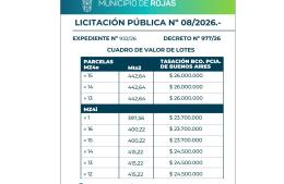 Terral 1: licitación de lotes