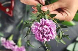 Nuevo seminario de jardinería especial