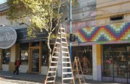 El Municipio proyecta llegar a cien cámaras de seguridad en los próximos meses