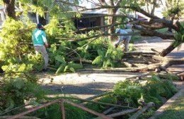 Fuerte tormenta afectó diferentes puntos de la ciudad