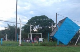 El viento causó mucho daño en la ciudad