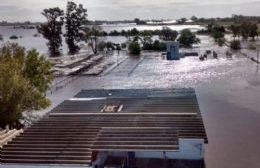 El Frigorífico Rojas Meat bajo el agua: Corren riesgo 80 puestos de trabajo