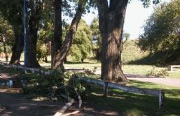 Una fuerte tormenta pasó por nuestra ciudad sin dejar grandes daños