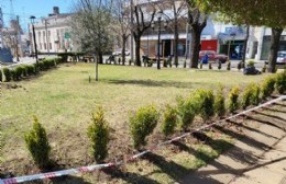 Comenzó el remozado en Plaza San Martín