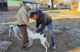 Finalizó la campaña gratuita de vacunación antirrábica que recorrió los barrios de Rojas