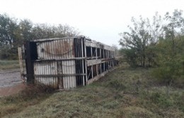 Volcó camión jaula en camino rural