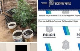 Detenidos en causas por amenazas e infracción a la ley de drogas