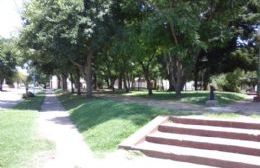 Con plazas sin bancos, oscuras y olvidadas, Parques y Paseos contrató a una paisajista