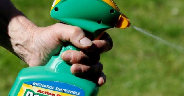 Las estrategias de Monsanto para aniquilar las afirmaciones de los expertos sobre los peligros del glifosato