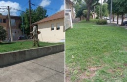 Parques y Paseos trabajó en el Hospital local