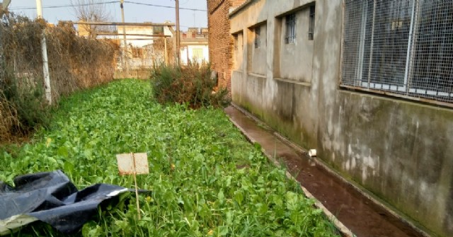 El Taller Protegido también sufrió las consecuencias de la granizada