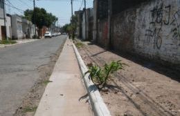 Mientras esperan el reasfaltado, en Hilario Lagos cultivan los cordones